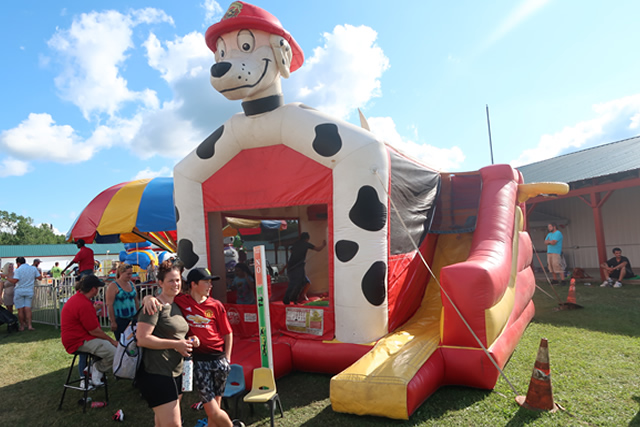 Dalmation Bounce Slide