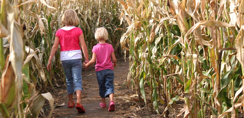 Two girls walking a corn maze at a pumpkin farm
