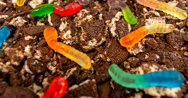 Dirt Fudge made of Gold Medal Chocolate Fudge with Cookies and cream with Gummy Worms on top