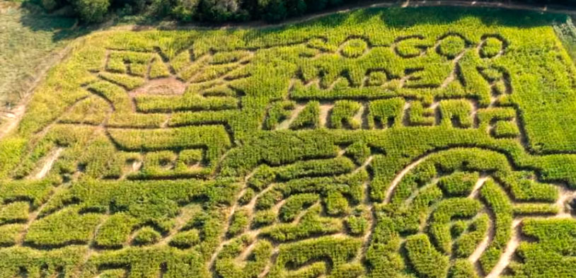 Arial view of the Donnell Century Farm maze