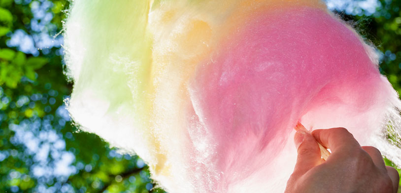 A hand holds up cotton candy in the woods on a bright sunny day.