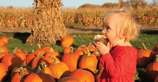 Fall Food Ideas for Agritourism Business