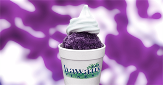 Soft Serve Ice Cream, Shave Ice or Sno Balls